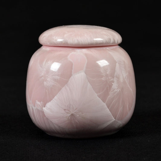 Pet Hair Keepsake Urn – Portable Memorial Ash Jar for Cats & Dogs