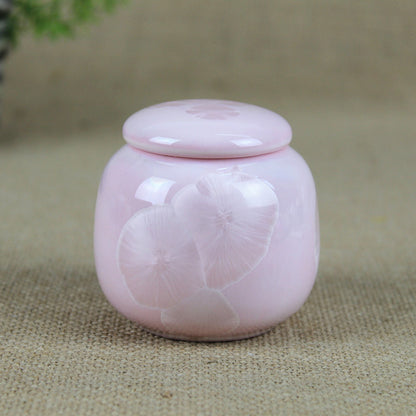 Pet Hair Keepsake Urn – Portable Memorial Ash Jar for Cats & Dogs